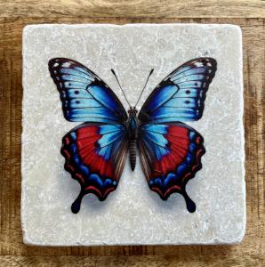 Marmor Fliese Glas Untersetzer Schmetterling